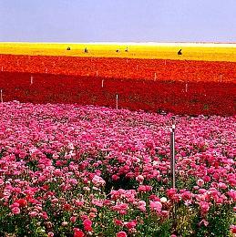 《露营房车：归家》众筹目标一天达成 房车定制模拟
