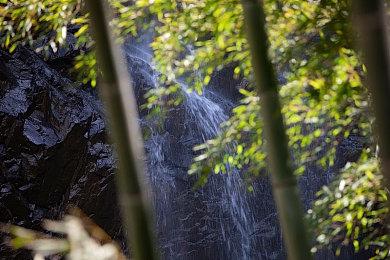 《奥德赛：星际远征》Steam抢测 星际建设探索